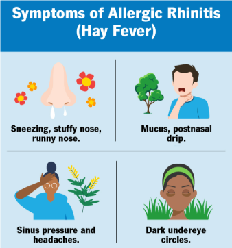 haydfever